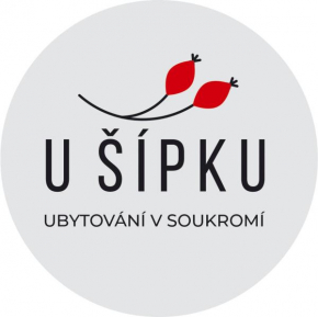Отель Dům U Šípku  Красна Липа